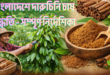 বাংলাদেশে দারুচিনি চাষ পদ্ধতি – সম্পূর্ণ নির্দেশিকা