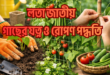 লতা জাতীয় গাছের যত্ন ও রোপণ পদ্ধতি