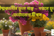গ্রীষ্মকালীন ফুল গাছ – গরমে ফুল ফোটানোর টিপস