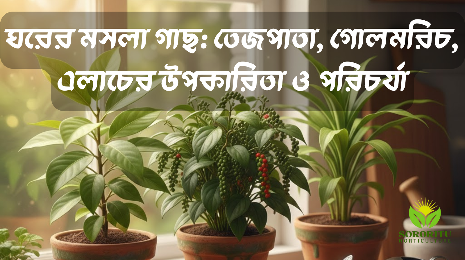 ঘরের মসলা গাছ: তেজপাতা, গোলমরিচ, এলাচের উপকারিতা ও পরিচর্যা