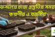 ফসলের চারা প্রস্তুতির সময় করণীয় ও বর্জনীয়