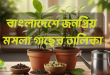 বাংলাদেশে জনপ্রিয় মসলা গাছের তালিকা