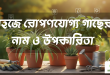 সহজে রোপণযোগ্য গাছের নাম ও উপকারিতা